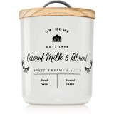 DW Home Farmhouse Coconut Milk &amp; Almond lum&acirc;nare parfumată 241 g