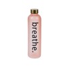 Bidon de apa Sport cu capac auriu, 1000 ml, culoare Somon, ATU-089665, Oem