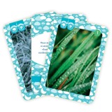 Carte Educativa Copii Gama: Fenomene ale Naturii, Tipuri de Nori, 4-6 Ani, 30 Flashcarduri, Exersez!, Coperta Brosata, Romana