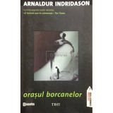 Arnaldur Indridason - Orasul borcanelor (Editia: 2011)