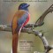A Photographic Field Guide to the Birds of India, Pakistan, Nepal, Bhutan, Sri Lanka, and Bangladesh