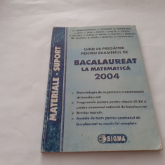 GHID DE PREGATIRE BACALAUREAT. MATEMATICA M1 -M2-M3 - 2004 L.SAVU..RF17/1