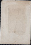 Fotografie tip CDV, Barbat cu mustata si barba, inceput de secol XX