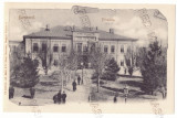 1726 - BUCURESTI, Primaria, Romania - old postcard - unused, Necirculata, Printata