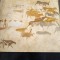 Henri Lhote, Frescele din Tassili, ed. Meridiane, 1966, harti, 200 pagini