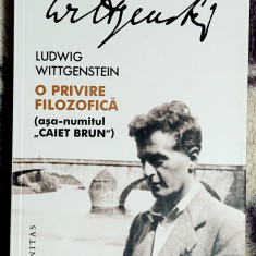 O privire filozofica - Ludwig Wittgenstein