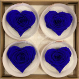 Trandafir Criogenat BELLA CORAZON BLU-03 (&Oslash;7-8cm, 4 buc /cutie)