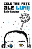 Cumpara ieftin Cele Trei Fete Ale Lunii, Sally Gardner - Editura Art
