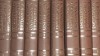 ENCICLOPEDIA UNIVERSALA BRITANNICA 16 volume