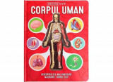 Cumpara ieftin Corpul Uman &ndash; model 3D, Kreativ