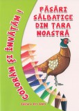 Pasari salbatice din tara noastra - Daniela Dosa - Editura Ars Libri