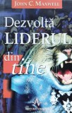 Cumpara ieftin Dezvolta Liderul Din Tine - John C. Maxwell, Amaltea, Psihologie, Romana