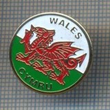 AX 290 INSIGNA- WALES - CYMRU - SIMBOL TARA GALILOR