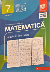 Matematica Algebra / Geometrie Clasa a VII-a partea I foto