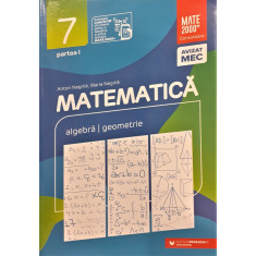 Matematica Algebra / Geometrie Clasa a VII-a partea I