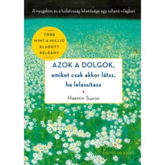 Azok a dolgok, amiket csak akkor l&aacute;tsz, ha lelass&iacute;tasz - A nyugalom &eacute;s a tudatoss&aacute;g lehetős&eacute;ge egy rohan&oacute; vil&aacute;gban - Haemin Sunim
