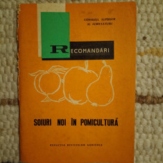 Cantitate şi calitate prin soiuri noi de piersic