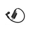 12. Bobina inductie Linhai aftermarket