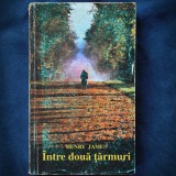 INTRE DOUA TARMURI - HENRY JAMES