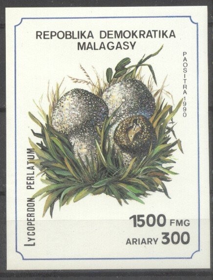 Madagascar 1990 Mushrooms, imperf. sheet, MNH S.048
