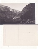 Muntii Bucegi -Cabana Malaiesti -rara-foto Oprean, Zarnesti