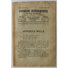 FOAIA TINERIMII , REVISTA BILUNARA , NR. 12 , APARUTA LA BUCURESTI , 1919