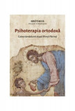 Psihoterapia ortodoxă - Paperback brosat - Mitrop. Ier&oacute;theos Vlachos al Nafpaktosului - Sophia