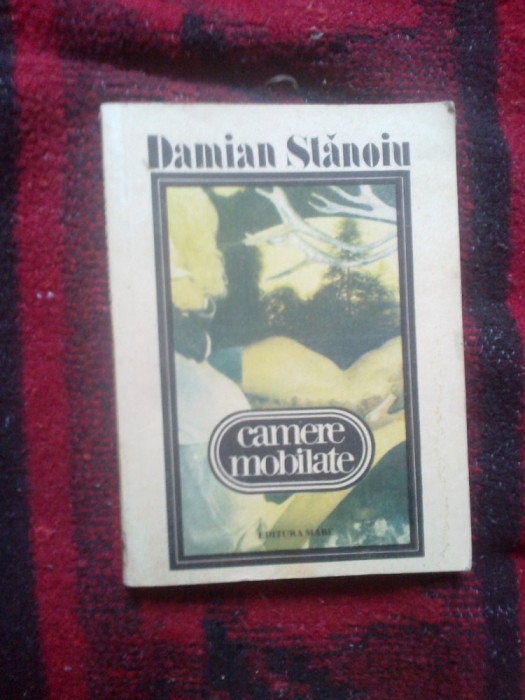 b1c Camere mobilate - Damian Stanoiu