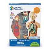 Macheta corpul uman PlayLearn Toys, Learning Resources