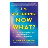 I&#039;m Ascending, Now What?