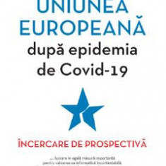 Uniunea Europeana dupa epidemia de Covid-19 - Stefan Popescu