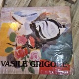 VASILE GRIGORE- VASILE DRAGUT