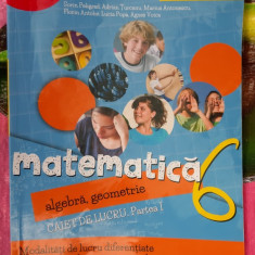 MATEMATICA ALGEBRA GEOMETRIE CLASA A VI A - CAIET DE LUCRU PELIGRAD ,ANTONESCU