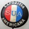 I.496 INSIGNA EXPOZITIA AMERICANA SUA