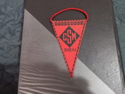 fanion CSM Sibiu foto
