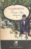 Forsyte saga. Proprietarul (volumul 1) - John Galsworthy