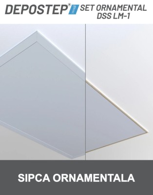 DEPOSTEP DSS LM-1- set ornamental din PVC foto