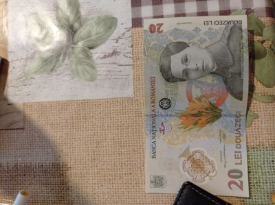 V&amp;acirc;nd bancnotă 20 de lei foto