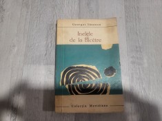 Inelele de la Bicetre de Georges Simenon