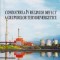 Conducerea in Regim de Defect a Grupurilor Termoenergetice