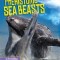 Prehistoric Sea Beasts