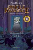 Cumpara ieftin Aventurile lui Dunga Cenusie. Seria Pisicile Razboinice. Razboinicul ratacit. Partea I. Manga/Erin Hunter