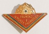 INSIGNA PIONIER FRUNTAS IN MUNCA PATRIOTICA CL 1 VARIANTA MICA PIONIERI ( CITITI DESCRIEREA ), Romania de la 1950