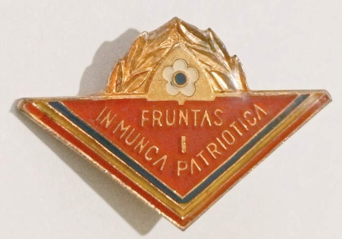 INSIGNA PIONIER FRUNTAS IN MUNCA PATRIOTICA CL 1 VARIANTA MICA PIONIERI ( CITITI DESCRIEREA )