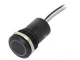 Comutator Capacitiv 12V IP68