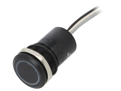 Comutator Capacitiv 12V IP68 foto