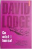 Ce mica-i lumea! - David Lodge - Poveste din mediul universitar - Carte