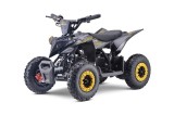 Atv electric copii Mini Warrior 6&amp;quot; 1000w 36v galben