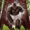 The Sasquatch People and Their Interdimensional Connection