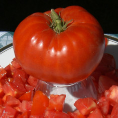 Tomate , rosii soiul DELICIOUS - 5 seminte pentru semanat